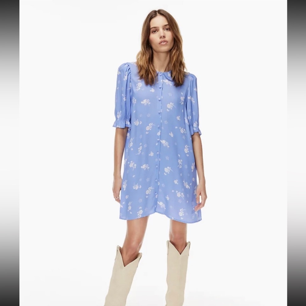 Aritzia Poppins Dress Xs